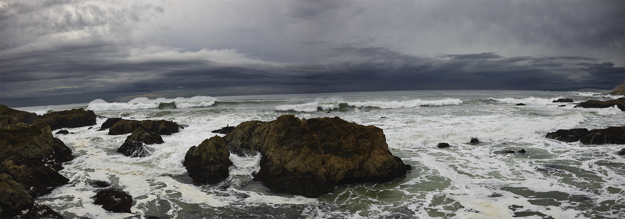 Bodega Head, California Coast